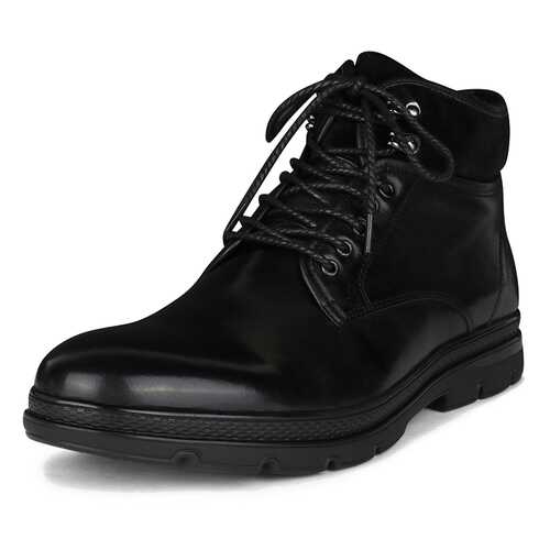 Ботинки мужские Pierre Cardin 26107020 черные 43 RU в Балдинини