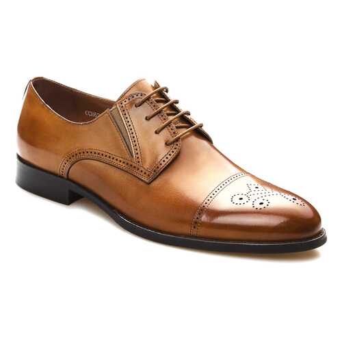 Туфли мужские El Tempo CCH62_BS368-705-1 коричневые 39 EU в Балдинини