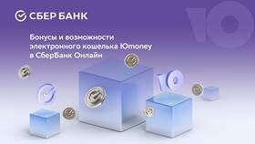 A1 Кошелек: что это в Балдинини