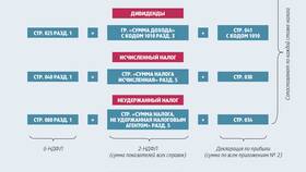 Что означает код 1010 в справке 2-НДФЛ в Балдинини