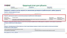 Что означает запрет на кредиты в Госуслугах в Балдинини