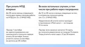 Что подпадает под самозанятость: виды деятельности и условия в Балдинини