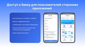 Что такое авторизация в банке в Балдинини