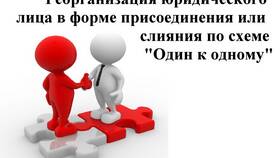 Что такое реорганизация ООО в Балдинини