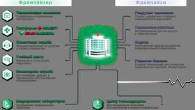 Что входит в услуги: структура и компоненты в Балдинини