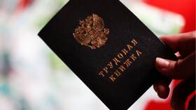 Что является задолженностью по заработной плате в Балдинини