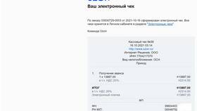 Для чего нужен Озон Чек в Балдинини