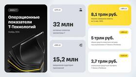 К чему относится Т Банк в Балдинини