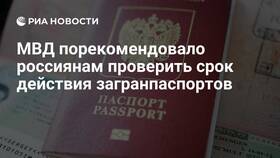 Как определить срок действия паспорта в Балдинини