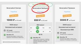 Как подключить гигабайты на МегаФоне в Балдинини