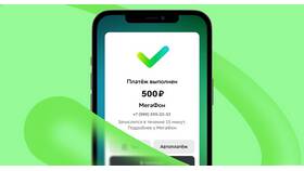 Как положить деньги на Tele2 через терминал 900 в Балдинини