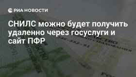 Как получить СНИЛС ребенку через Госуслуги в Балдинини