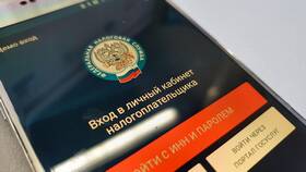 Как получить справку 2-НДФЛ через портал Госуслуги в Балдинини