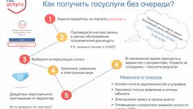 Как посмотреть результаты услуг на портале Госуслуги в Балдинини