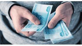 Как правильно провести проценты по займу в Балдинини