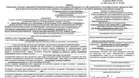 Как правильно заполнять срок действия паспорта в Балдинини