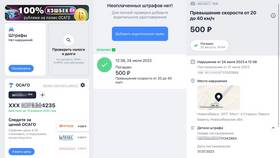 Как проверить регистрацию в ГИБДД в Балдинини