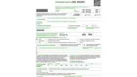 Как проверить страховой полис на автомобиль в Балдинини