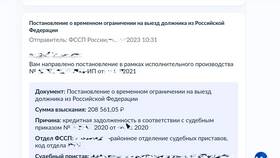 Как проверить запрет на въезд в Россию в Балдинини