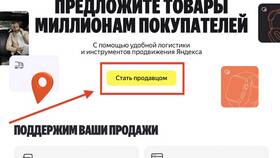 Как работать продавцом на Яндекс Маркете в Балдинини