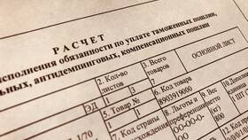 Как рассчитать сумму таможенной пошлины в Балдинини
