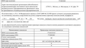 Как уточнить реквизиты платежа в Балдинини