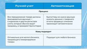 Как вести учет прихода и расхода в магазине в Балдинини