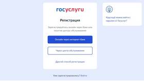 Как зарегистрировать ИП через ФНС в Балдинини