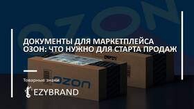 Как зарегистрировать юридическое лицо на Ozon в Балдинини