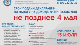 На что подают декларацию в Балдинини