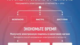 Налоговая декларация ожидает отправки: что значит в Балдинини