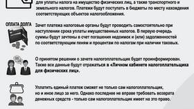 Налоговый платеж физического лица: что это в Балдинини