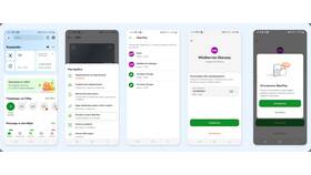 Почему невозможно пополнить кошелек Wildberries в Балдинини