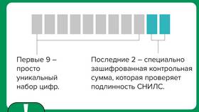 Почему проверяют СНИЛС в Балдинини