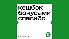 Программа лояльности Сбербанк 