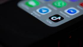 За что блокируют аккаунт в TikTok в Балдинини