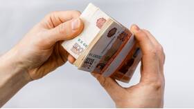 Зачем Авито требует паспортные данные в Балдинини