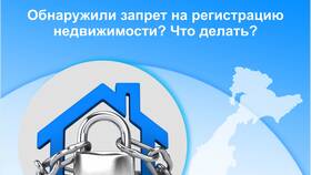 Запрещение регистрации в ЕГРН: правовые последствия в Балдинини