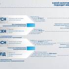 Что такое налог: какие виды налогов существуют