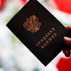 Что является задолженностью по заработной плате