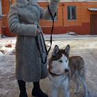 Штраф за то, что собака нагадила в неположенном месте