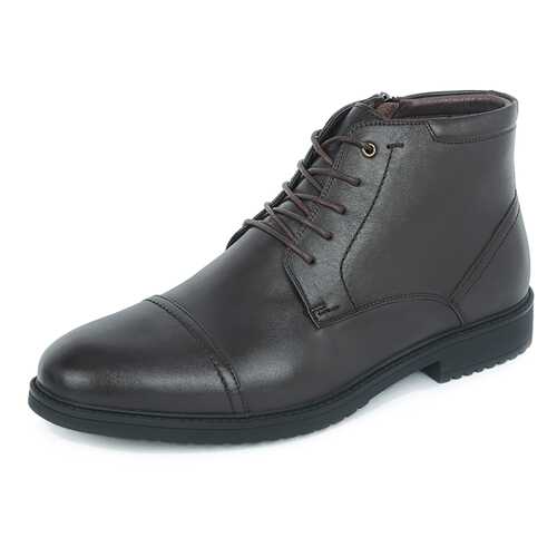 Ботинки мужские Pierre Cardin 710018537 коричневые 43 RU в Балдинини