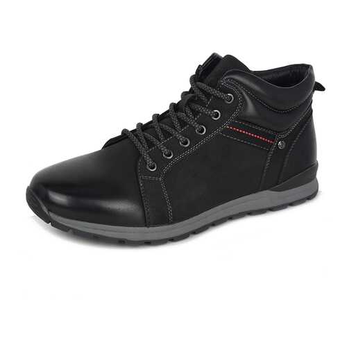 Ботинки мужские T.Taccardi GN20AW-09 черные 43 RU в Балдинини