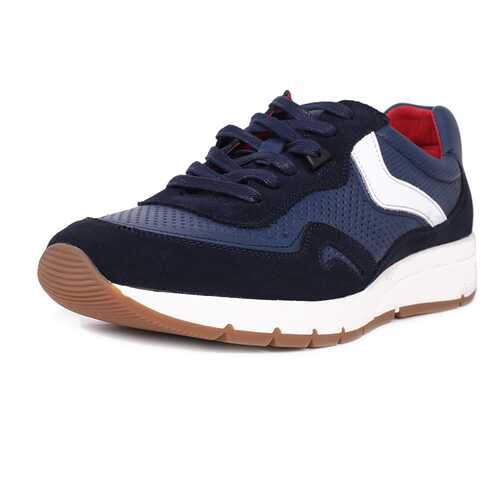 Кроссовки мужские Pierre Cardin 029061M0 синие 43 RU в Балдинини